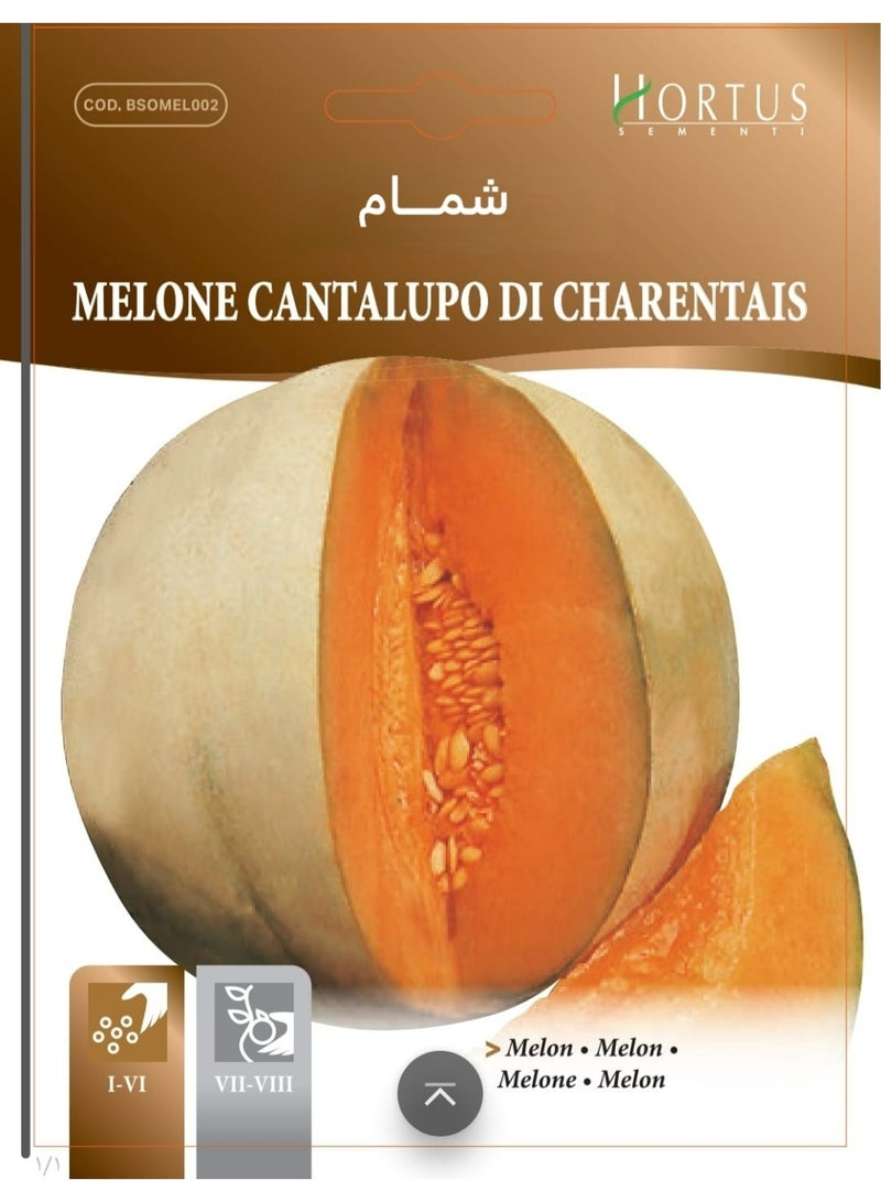 Charente Melon Seeds